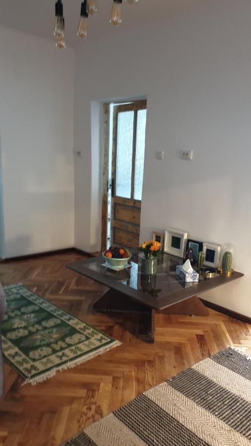 Casa Arion Apartment Baile Herculane Exterior photo