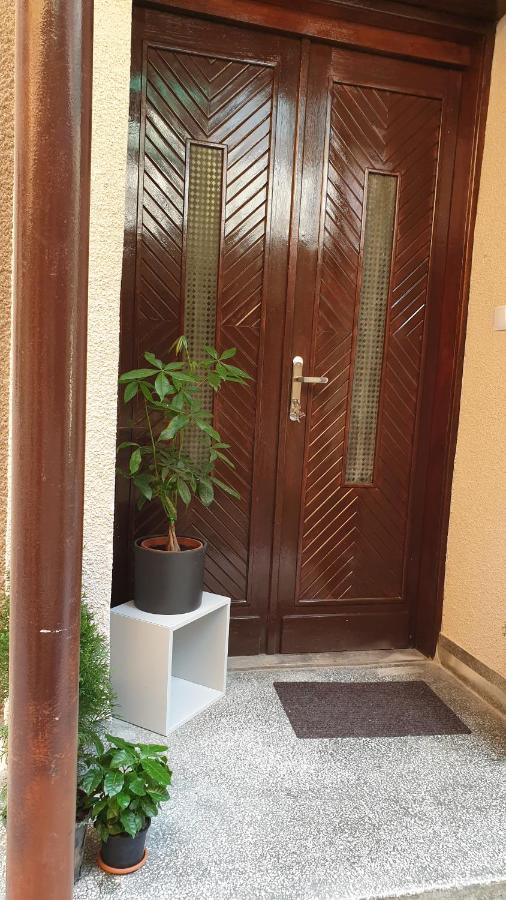 Casa Arion Apartment Baile Herculane Exterior photo